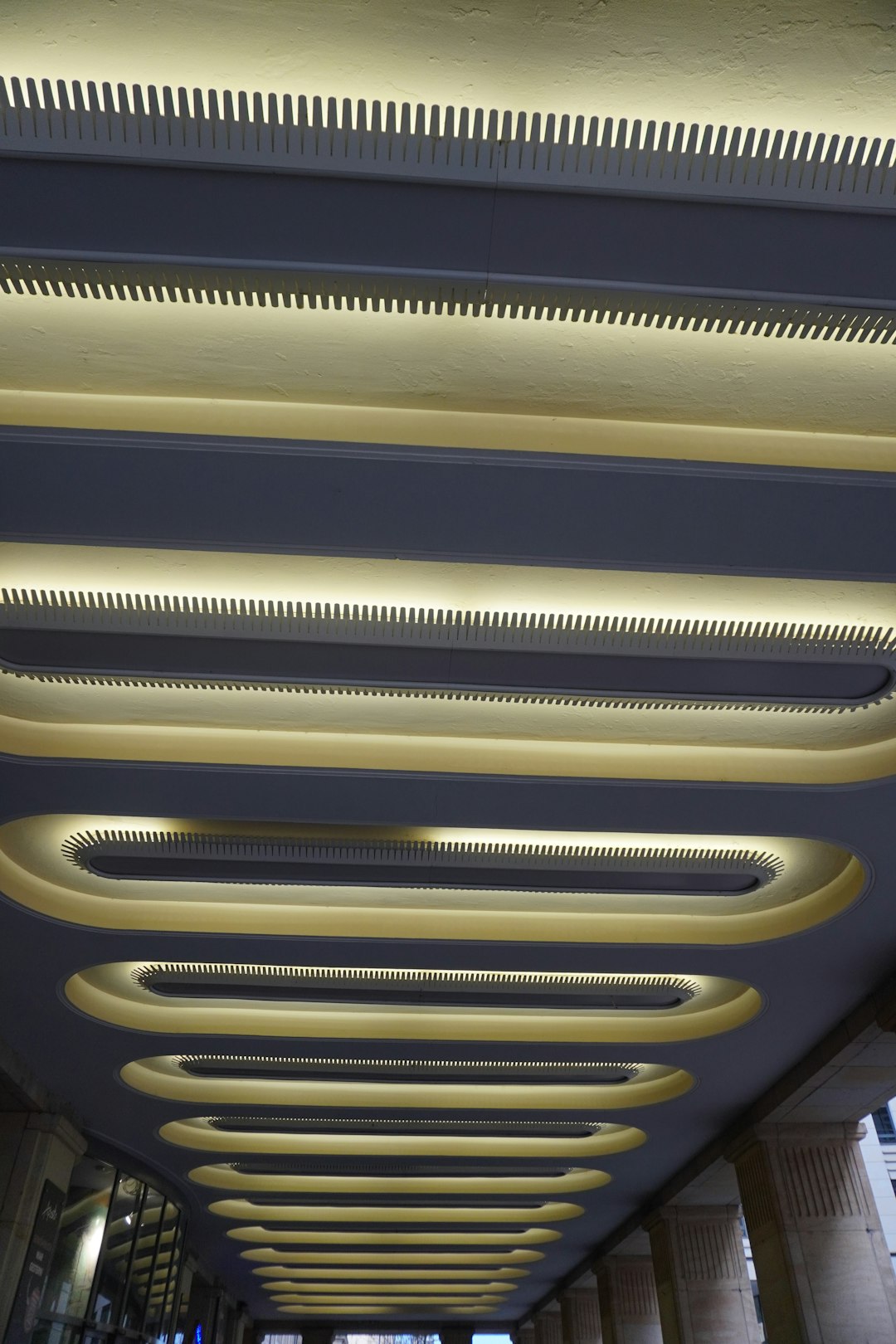 Illuminated oval shapes and linear ceiling lights